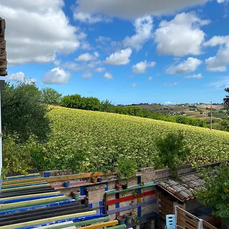 Διαμέρισμα Casale Civetta - Con Piscina Σενιγκάλια