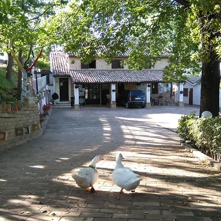 Casale Civetta Σενιγκάλια