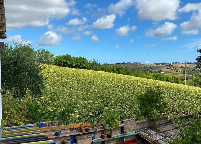 아파트 Casale Civetta 세니갈리아