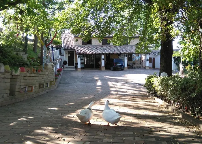 Casale Civetta 세니갈리아